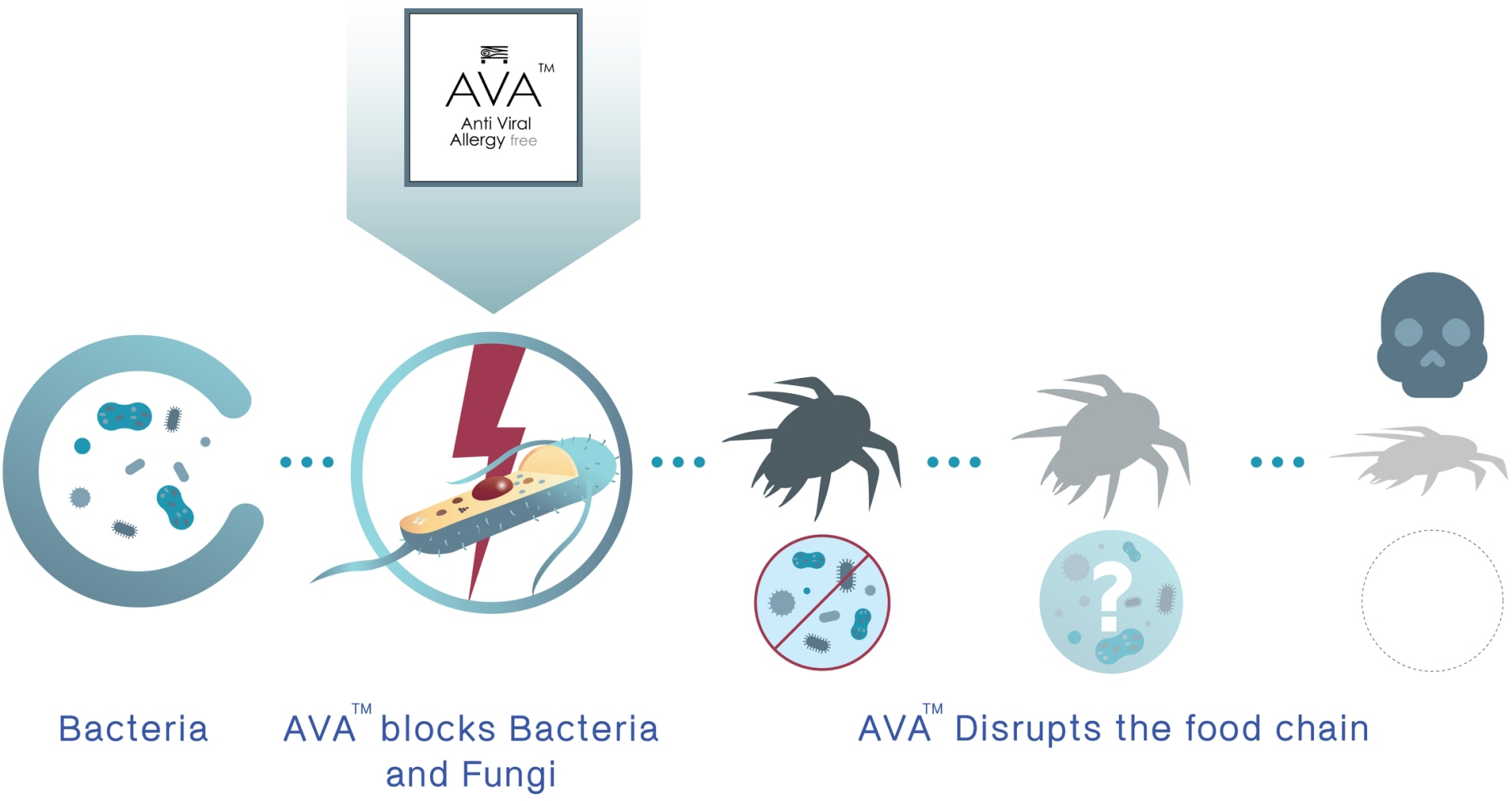 Against Allergens Infographic