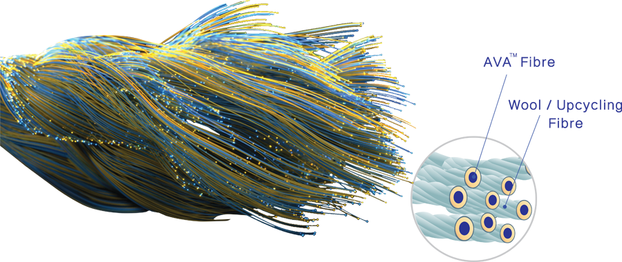 Fibre Structure Infographic