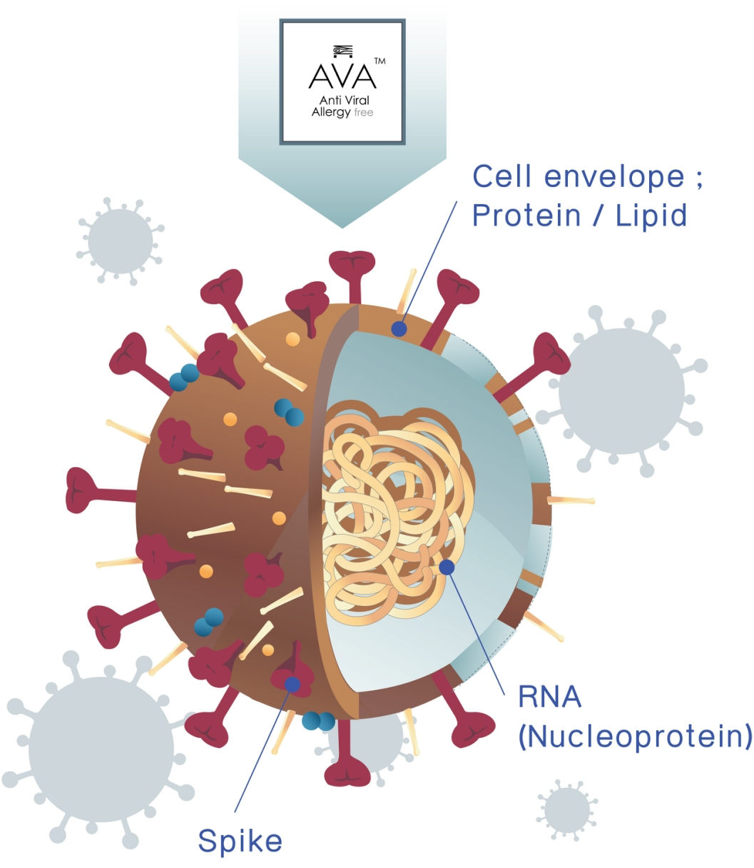 Against Viruses Infographic